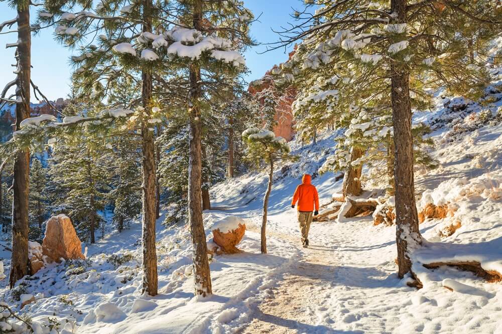winter hikes in uttarakhand